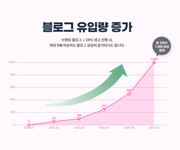 블로그 유입량 증가 그래프